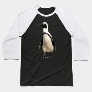 African Penguin Boulders Beach, Cape Town, South Africa Baseball T-Shirt